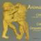 ANIMAES MUSICAIS - CANTO FIRME DE TOMAR  - Concertos Coral e Orquestra de Guitarras